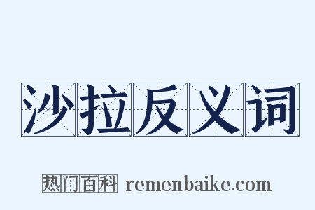 沙拉反义词是什么意思的图片